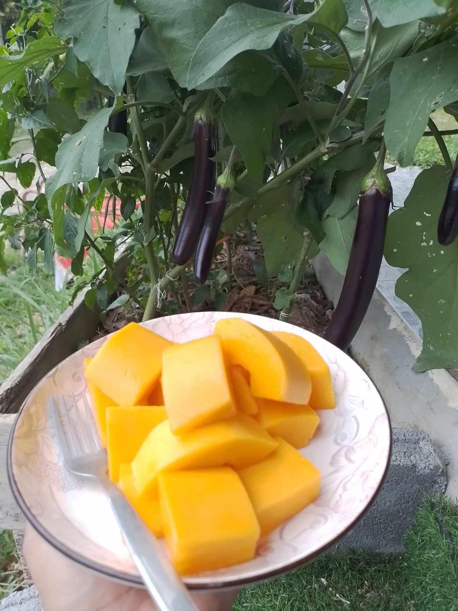 Baanphong Lanta Villa Ko Lanta Eksteriør billede